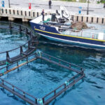 Θαλάσσιος καθαρισμός στη Σύμη 3