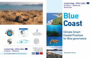 BlueCoast