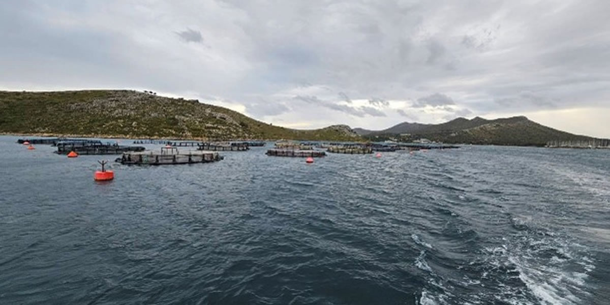 Η στρατηγική σημασία της θαλάσσιας ιχθυοκαλλιέργειας