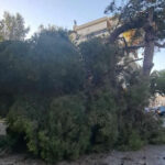 παπκ πτώση 2024 08 02